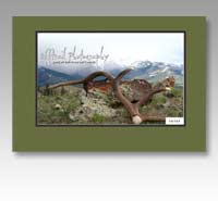 Offtrail Photography
